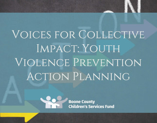 Download Youth Violence Prevention Action Planning PDF